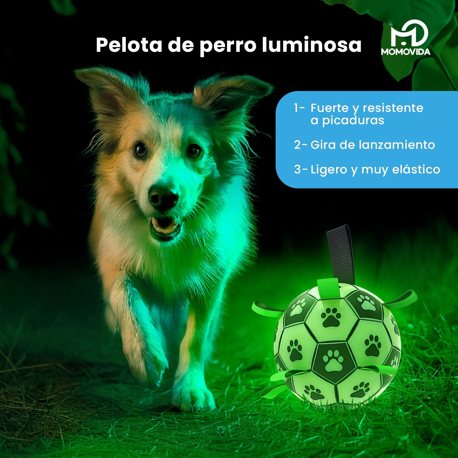 Imagen 1