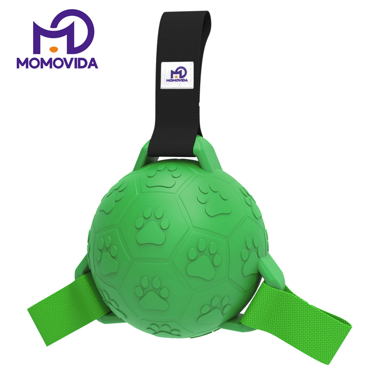 Pelota De Goma Para Mascotas Con Lanzador Dt-7