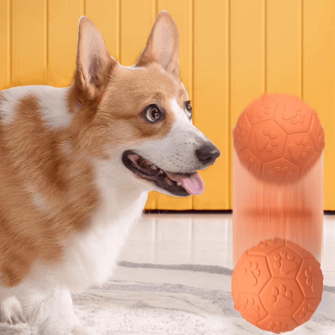 Pelota de Goma Pequeña con Sonido DT-15