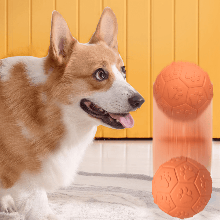 Pelota de Goma Pequeña con Sonido DT-15