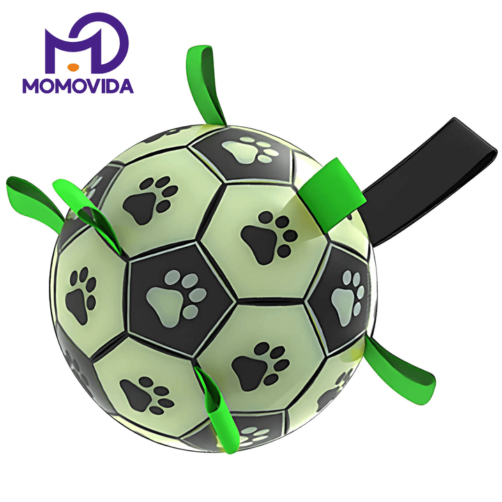 Pelota Luminosa Para Mascotas DT-8