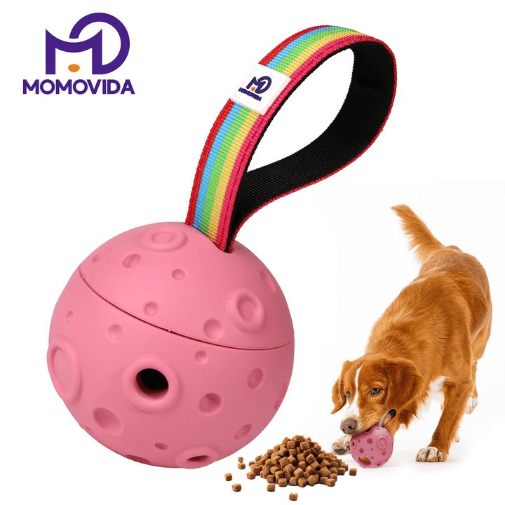 Pelota Dispensador de Alimento Masticable Meteorito Para Perros Dt-6
