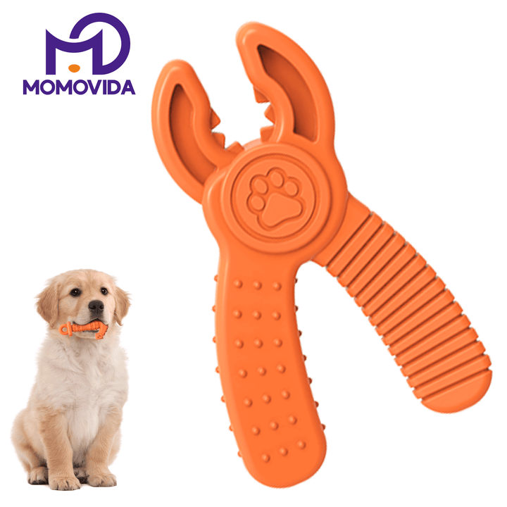 Juguete Masticable en forma de Alicate DT-12