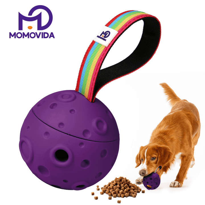 Pelota Dispensador de Alimento Masticable Meteorito Para Perros Dt-6