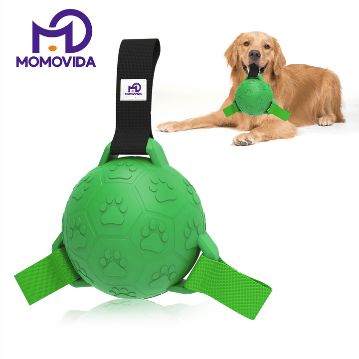 Pelota De Goma Para Mascotas Con Lanzador Dt-7