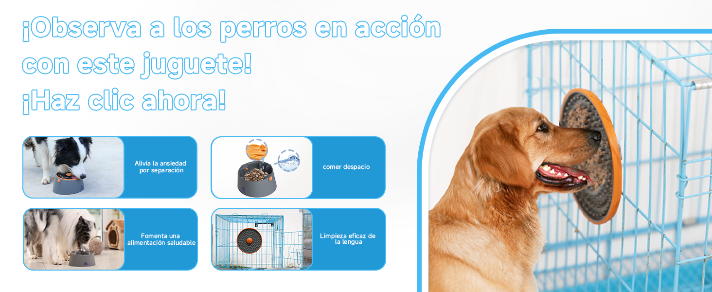 Imagen especial 3