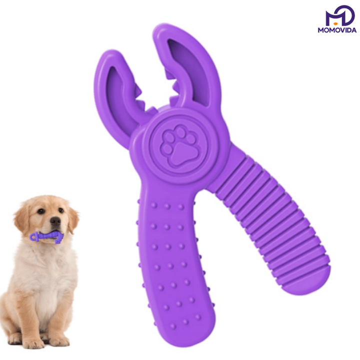 Juguete Masticable en forma de Alicate DT-12