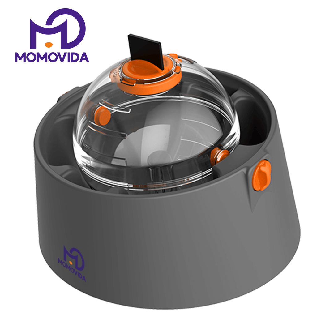 Bola De Fuga De Alimentos Interactivo 3 En 1 DF-6