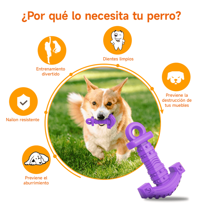 Juguete Masticable en forma de Ancla DT-14