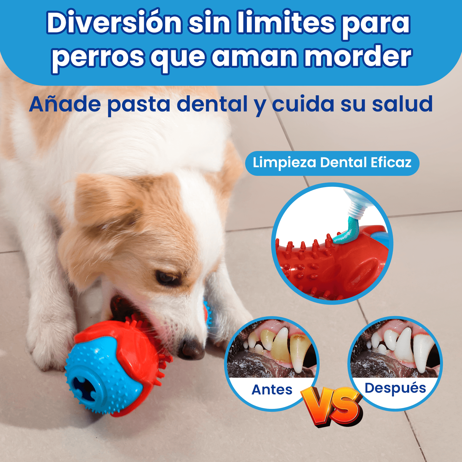 Imagen 2