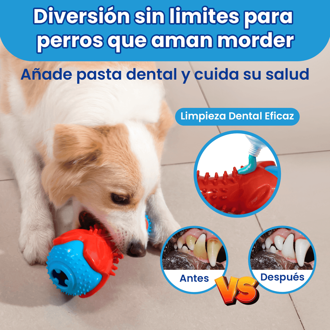 Juguete Dispensador Masticable Para Perro Palillo Dentición  DF-1
