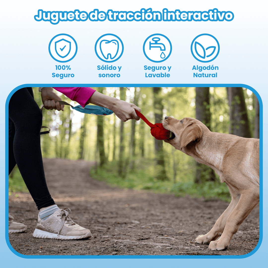 Juguete De Tracción Interactivo Con Sonido DT