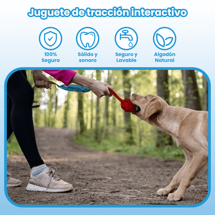 Juguete De Tracción Interactivo Con Sonido DT