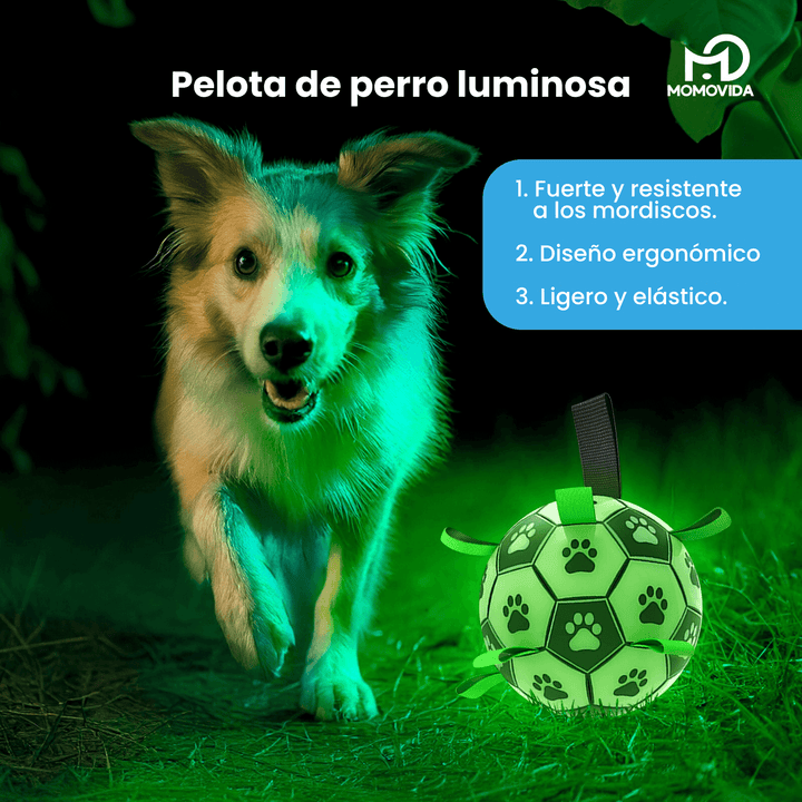 Pelota Luminosa Para Mascotas DT-8