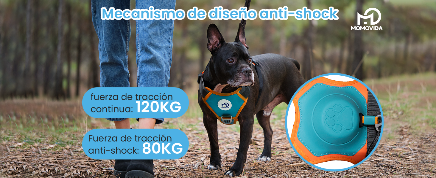 Imagen especial 3