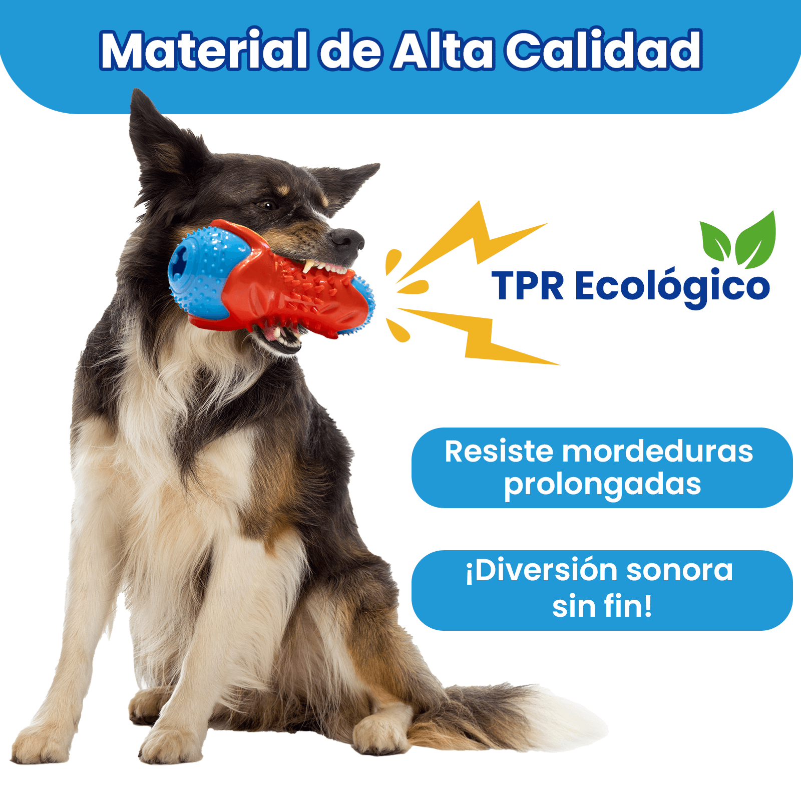 Imagen 3