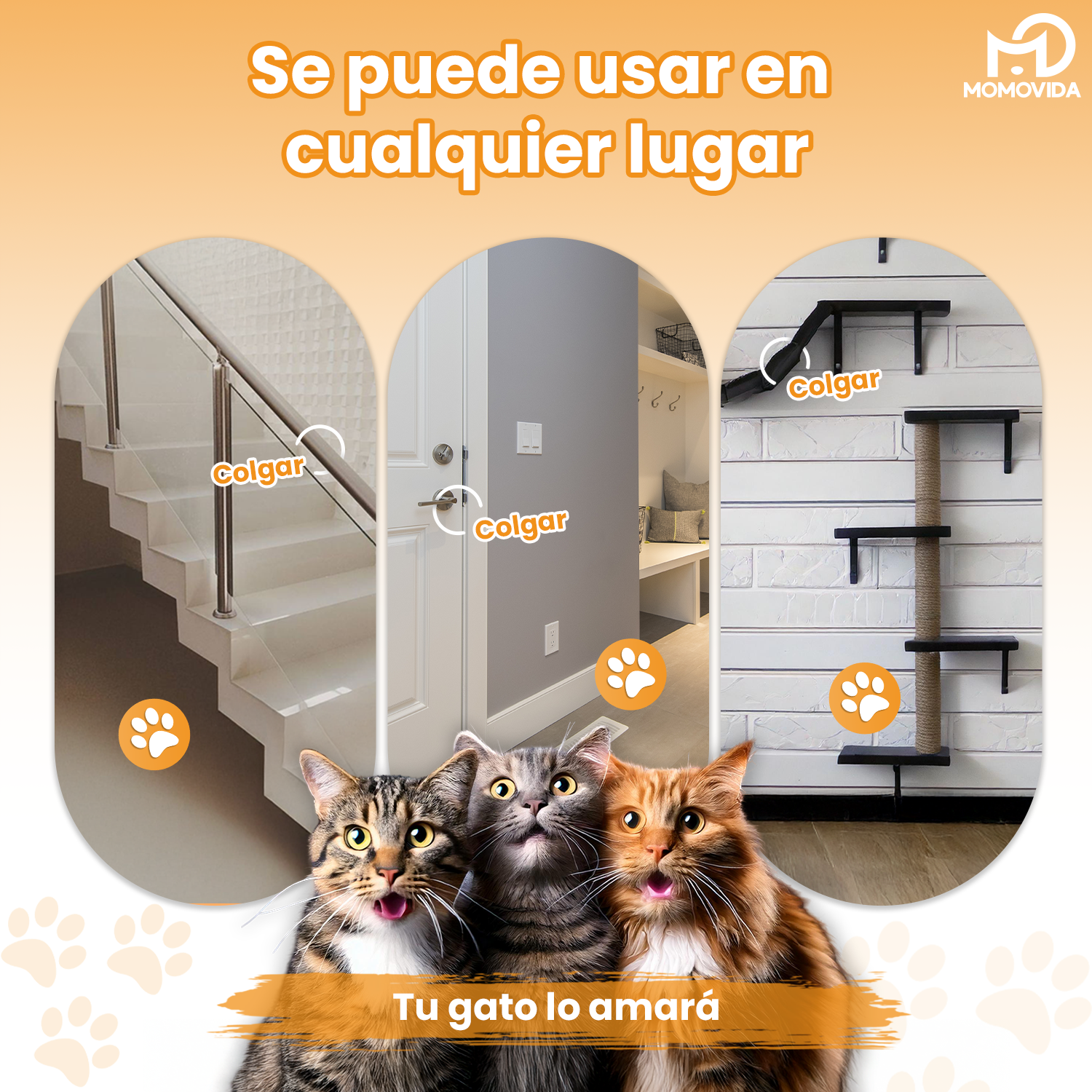 Imagen 4