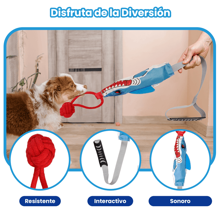 Juguete De Tracción Interactivo Con Sonido DT