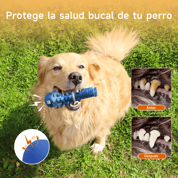 Juguete Masticable Sonoro Grande de Bate DT-10