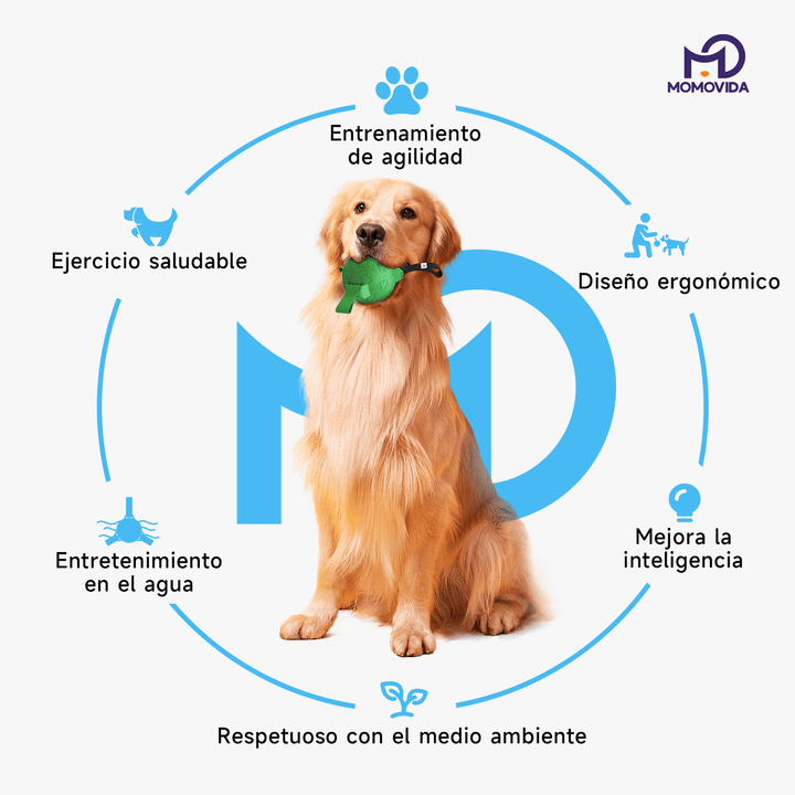 Pelota De Goma Para Mascotas Con Lanzador Dt-7