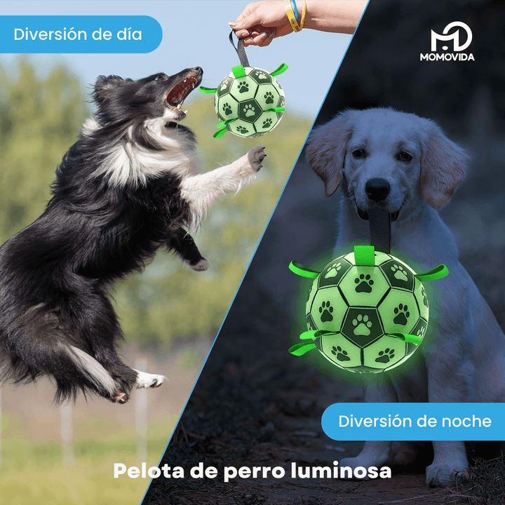 Pelota Luminosa Para Mascotas DT-8