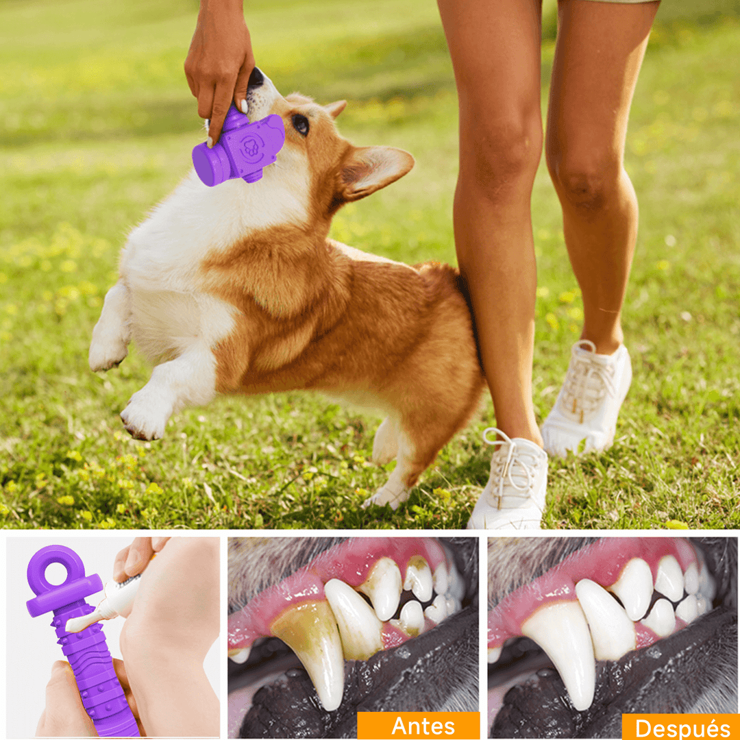 Juguete Masticable en forma de Pico DT-11