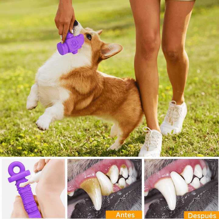 Juguete Masticable en forma de Pico DT-11