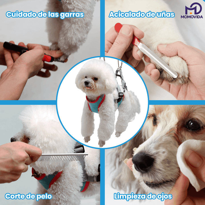 Arnés Para Mascotas DG