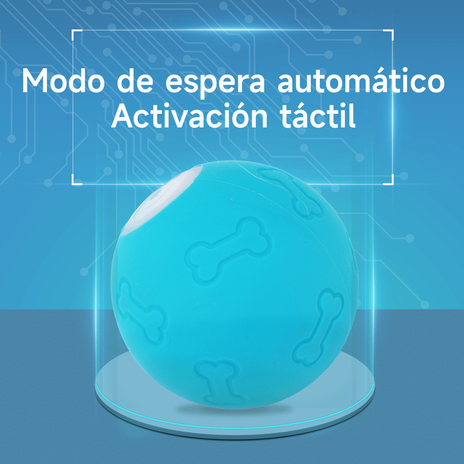 Imagen 2
