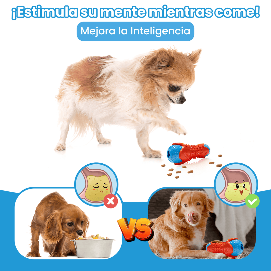Juguete Dispensador Masticable Para Perro Palillo Dentición  DF-1