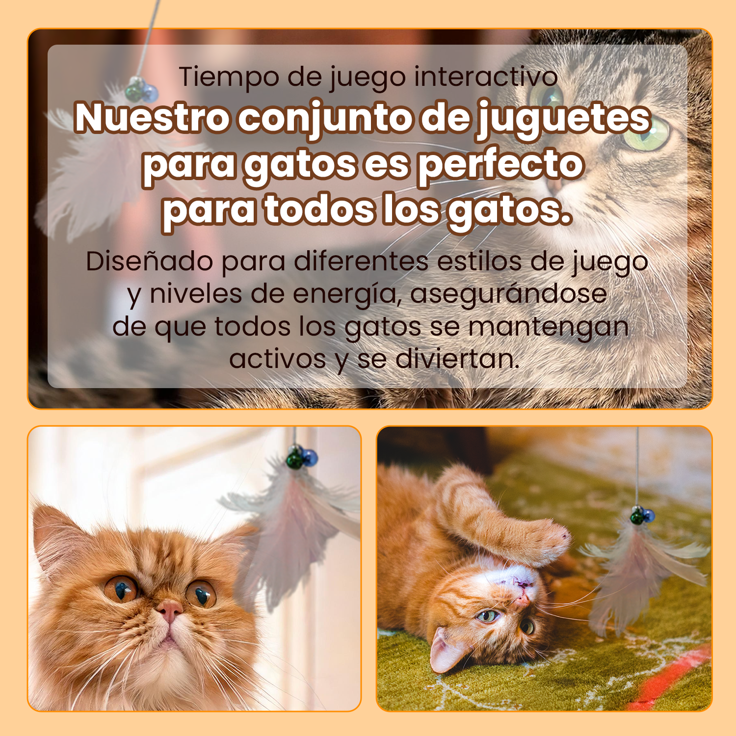 Imagen 3