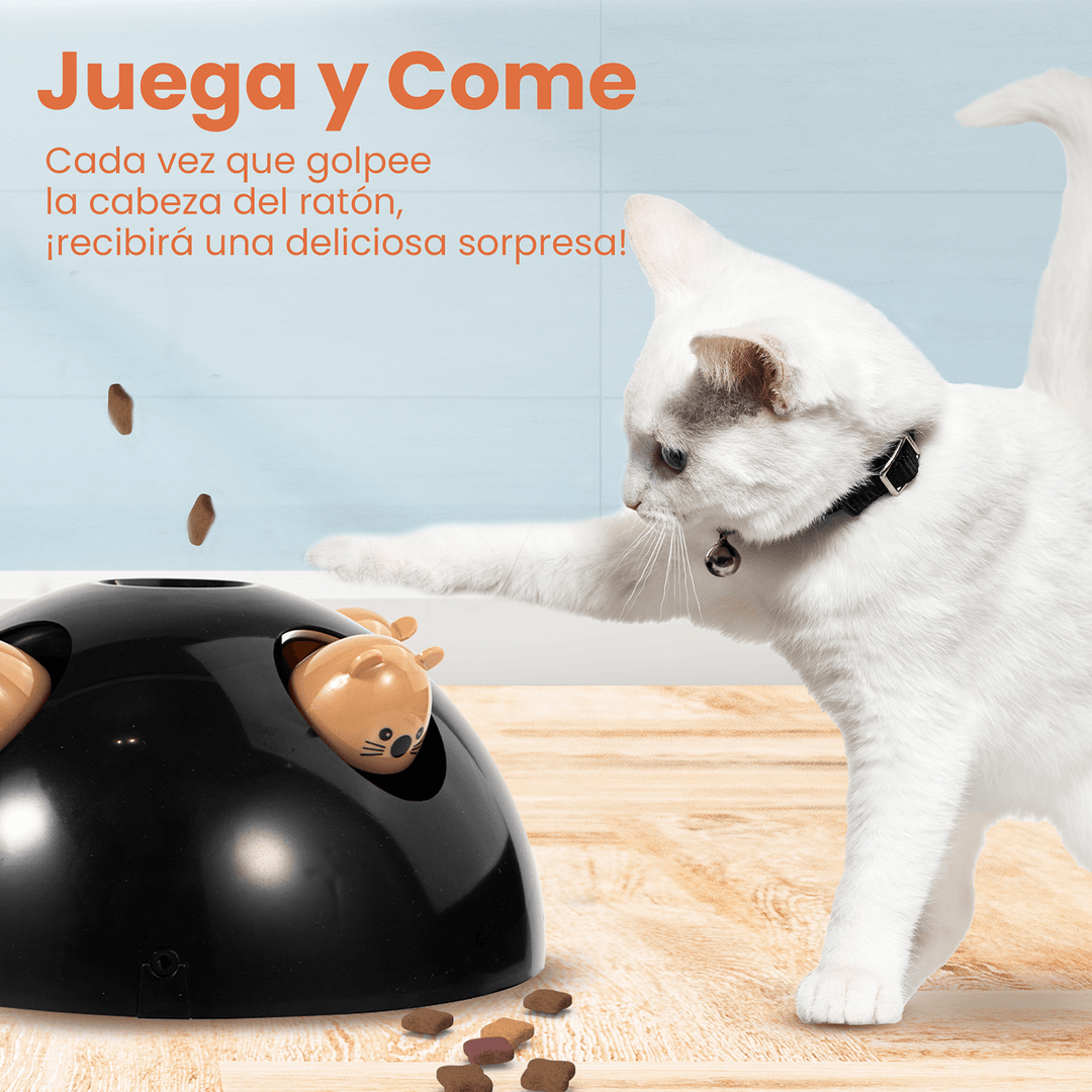Juguete Interactivo Atrapa el ratón CT-1