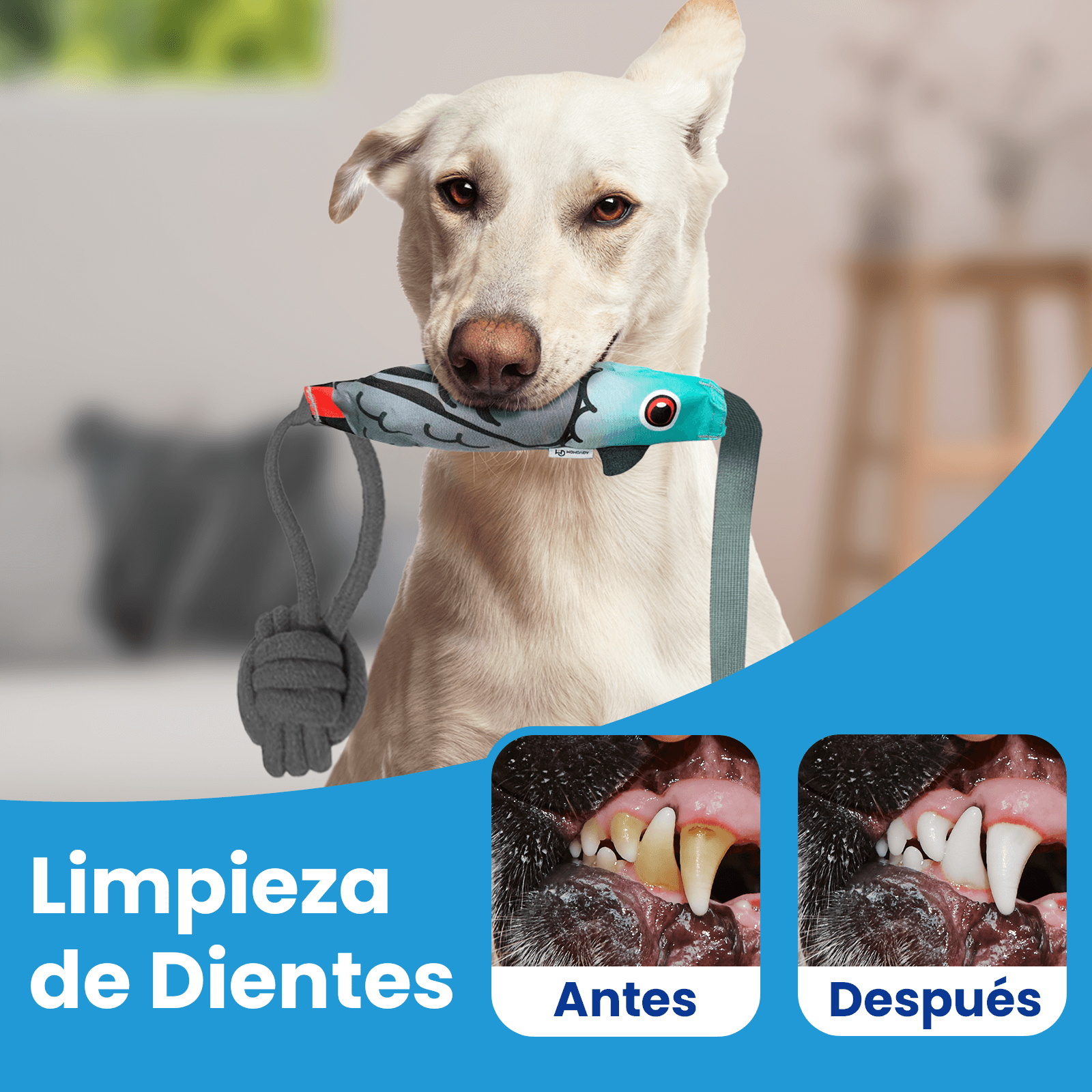 Imagen 2