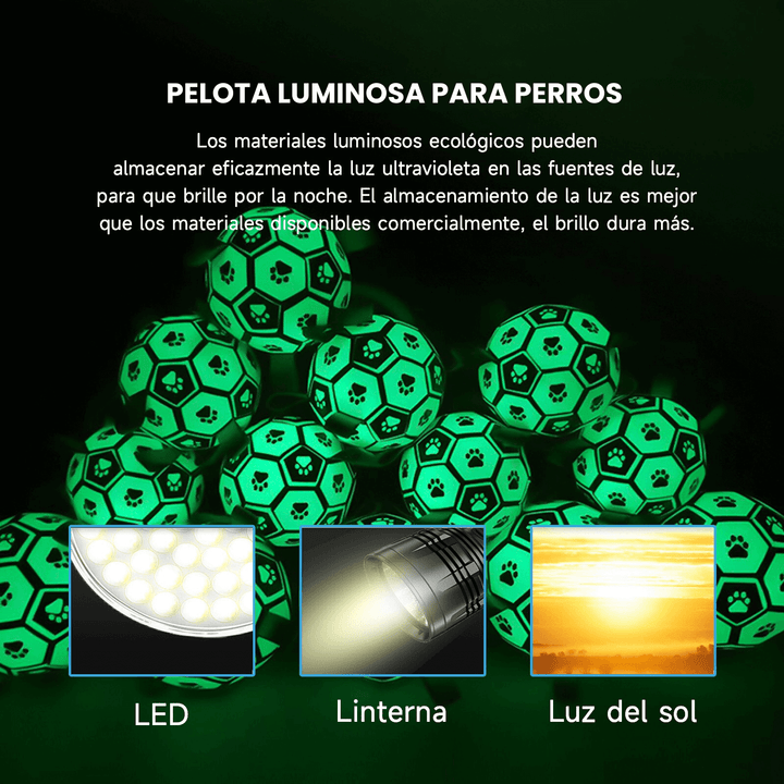 Pelota Luminosa Para Mascotas DT-8