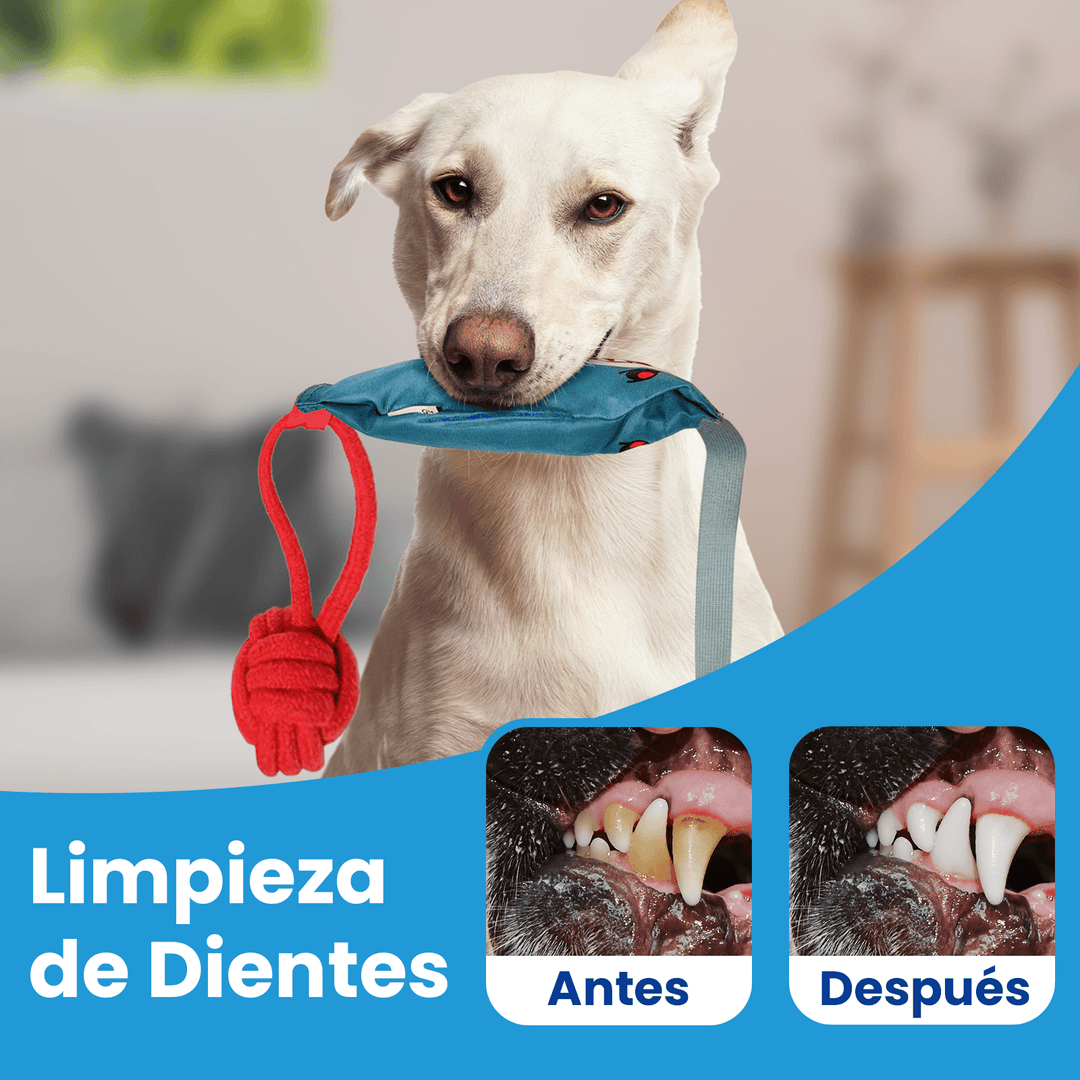 Juguete De Tracción Interactivo Con Sonido DT