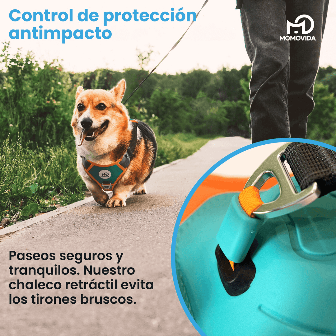 Arnés Para Perros Con Correa Retráctil DL