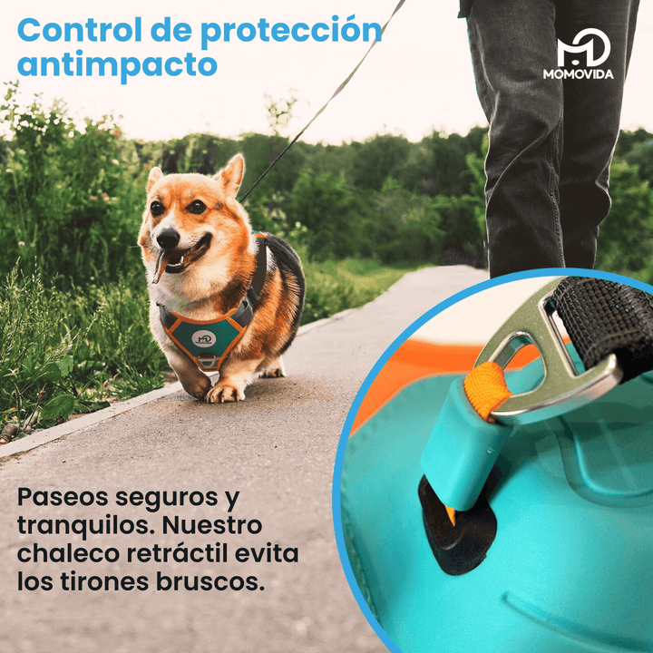 Arnés Para Perros Con Correa Retráctil DL