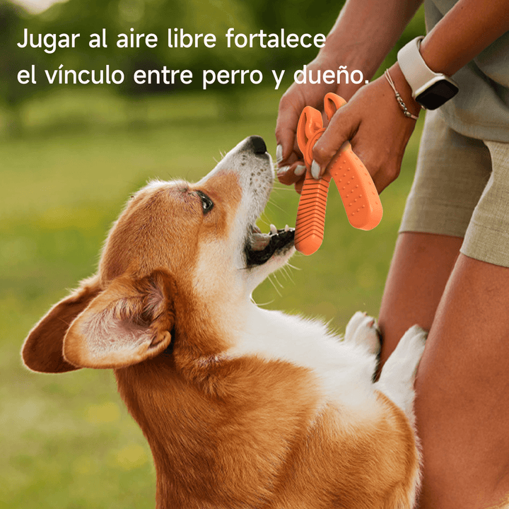 Juguete Masticable en forma de Pico DT-11