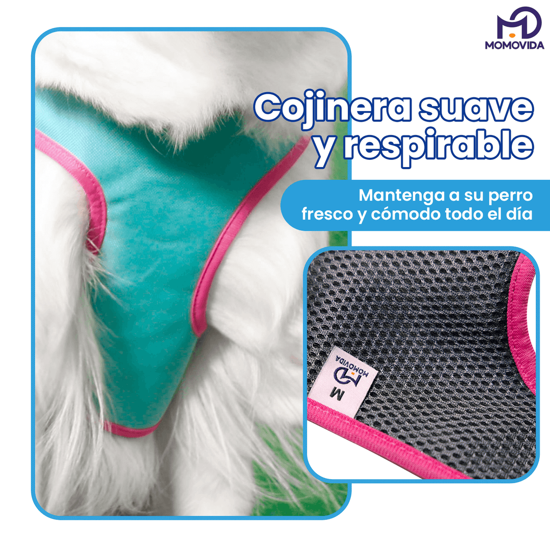 Arnés Para Mascotas DG