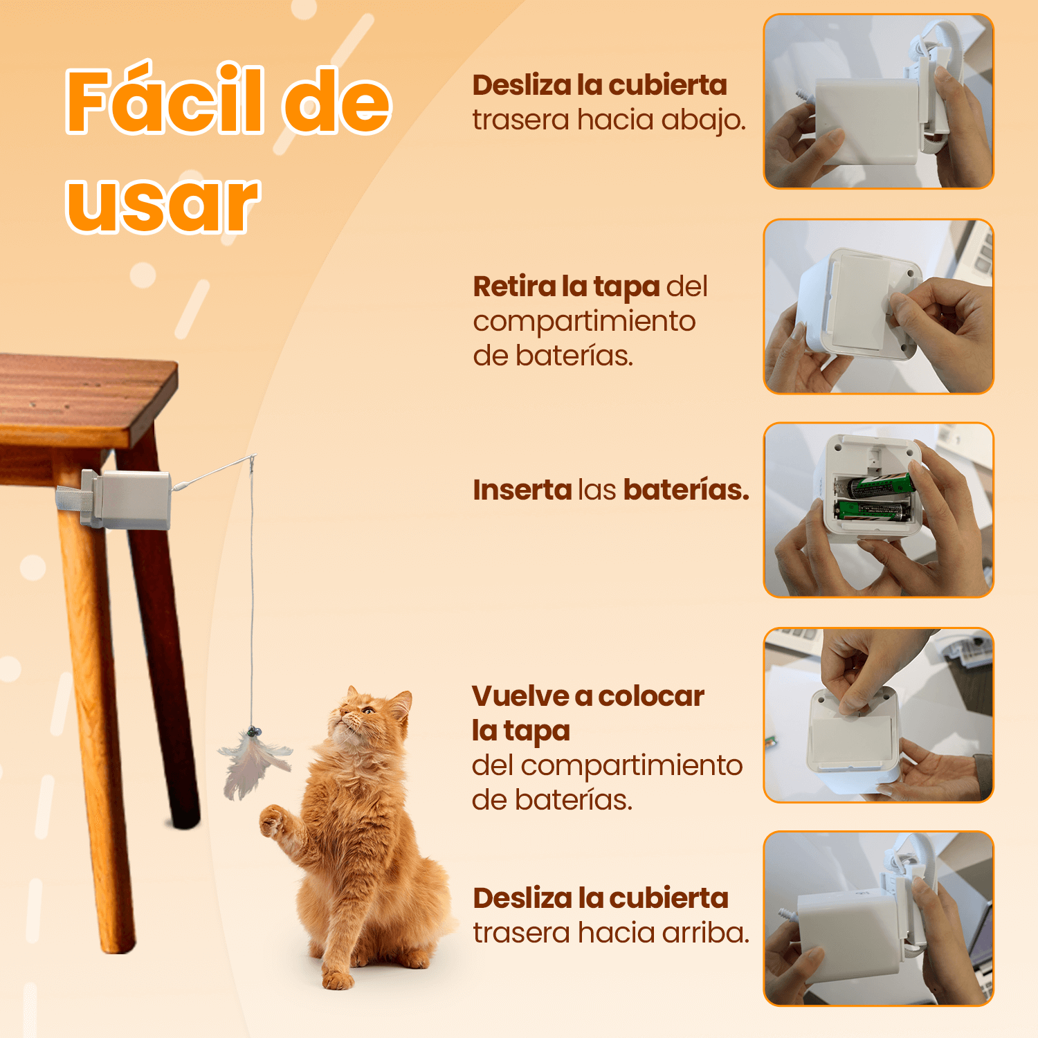 Imagen 2