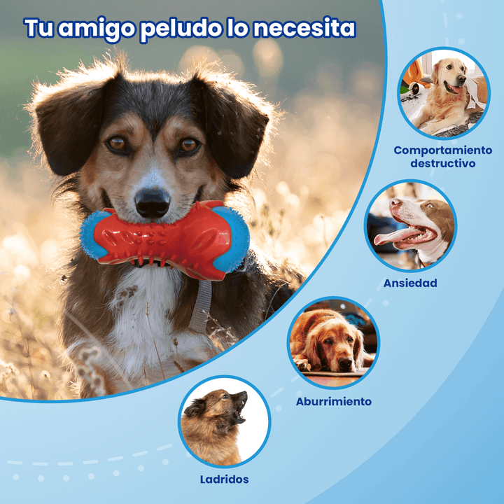 Juguete Dispensador Masticable Para Perro Palillo Dentición  DF-1