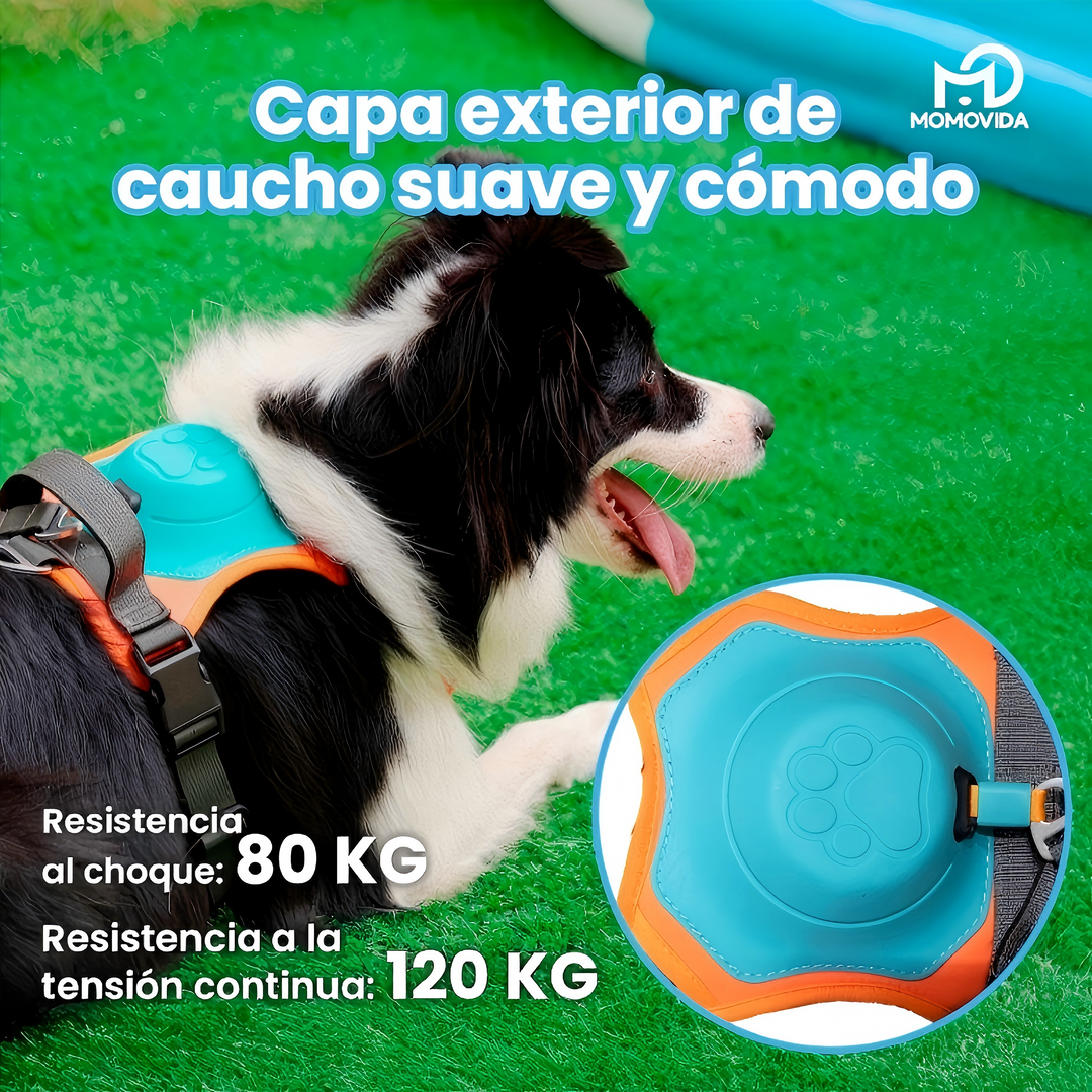 Arnés Para Perros Con Correa Retráctil DL