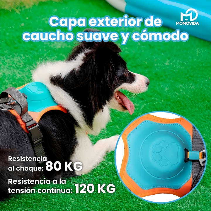 Arnés Para Perros Con Correa Retráctil DL