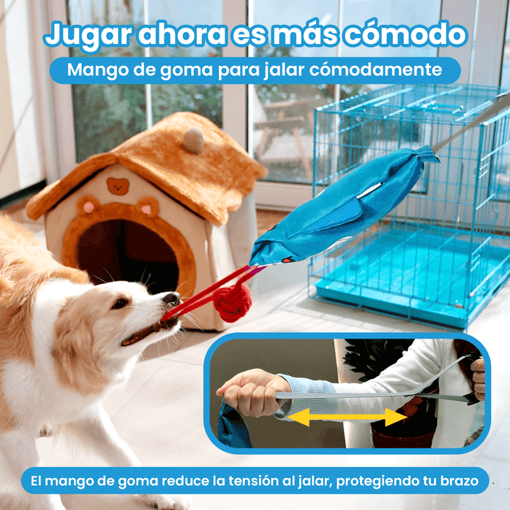 Juguete De Tracción Interactivo Con Sonido DT