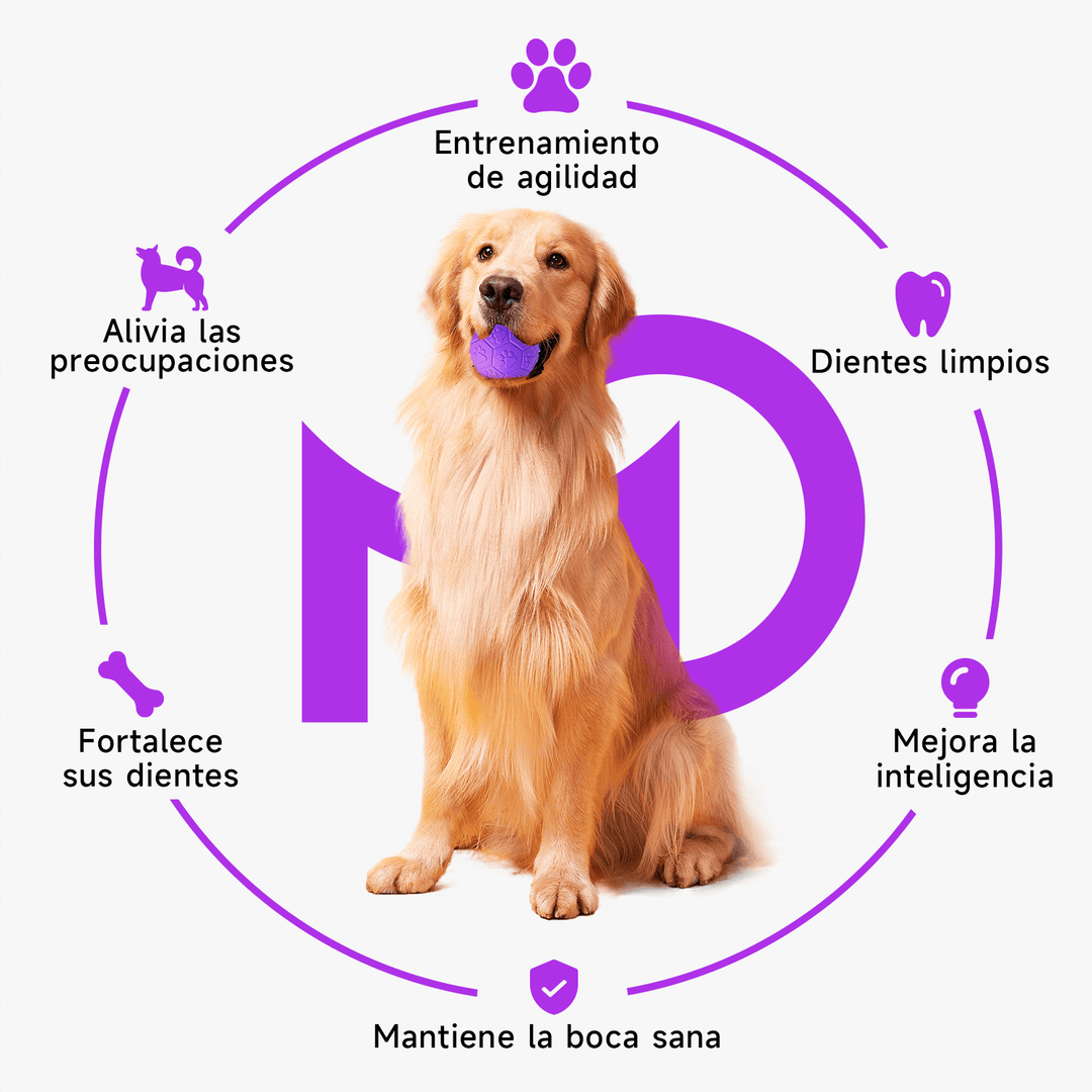 Pelota de Goma Pequeña con Sonido DT-15
