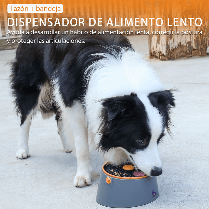 Bola De Fuga De Alimentos Interactivo 3 En 1 DF-6