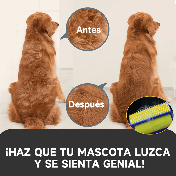 Quita Pelos y Cepillo para Mascotas 2 en 1 PB-1