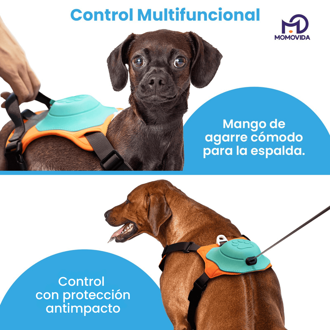 Arnés Para Perros Con Correa Retráctil DL
