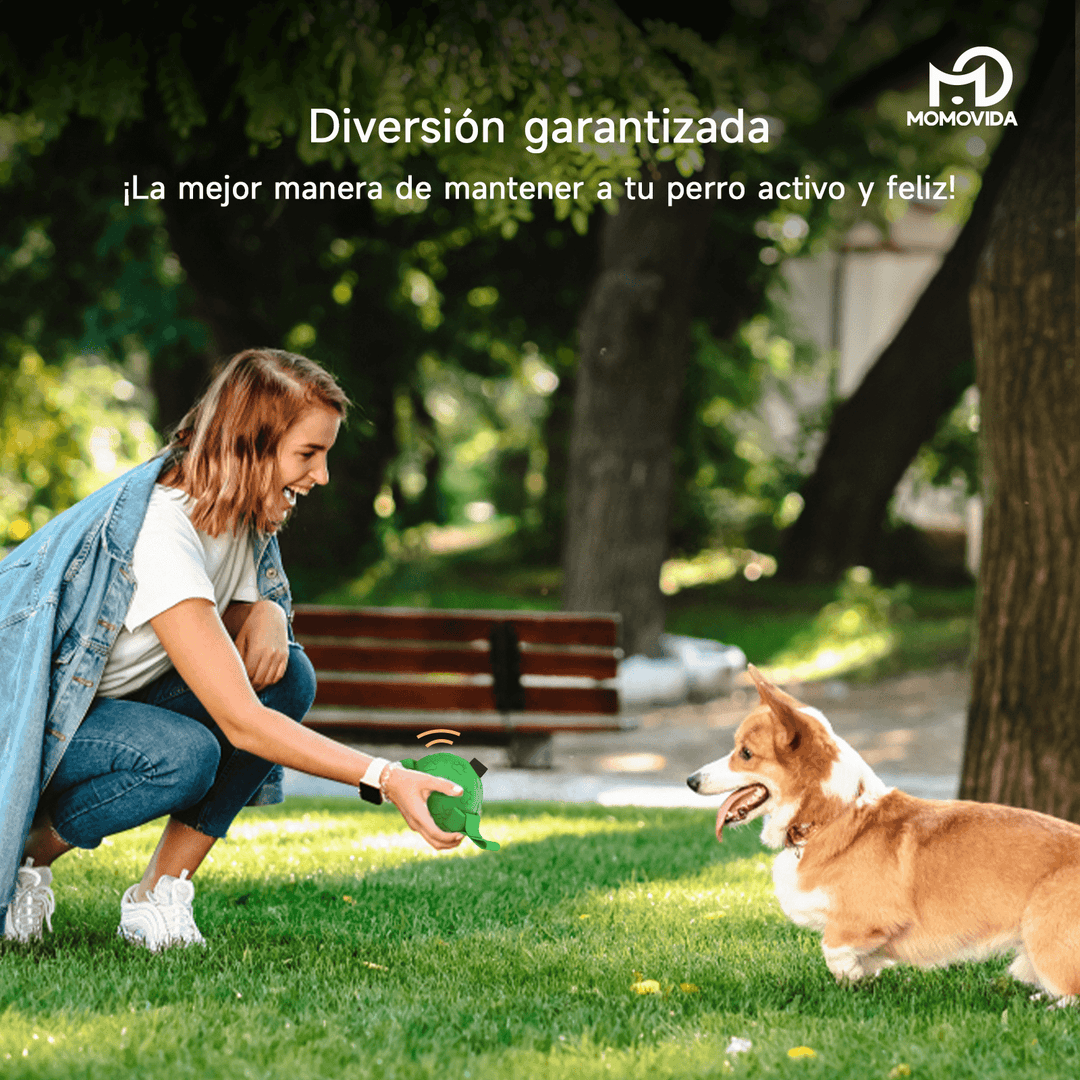 Pelota De Goma Para Mascotas Con Lanzador Dt-7