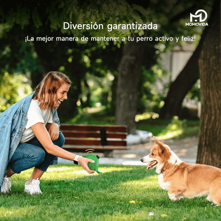 Pelota De Goma Para Mascotas Con Lanzador Dt-7
